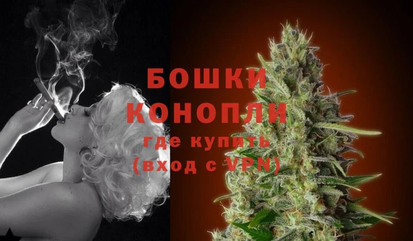 PSILOCYBIN Баксан