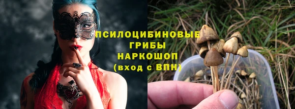 PSILOCYBIN Баксан