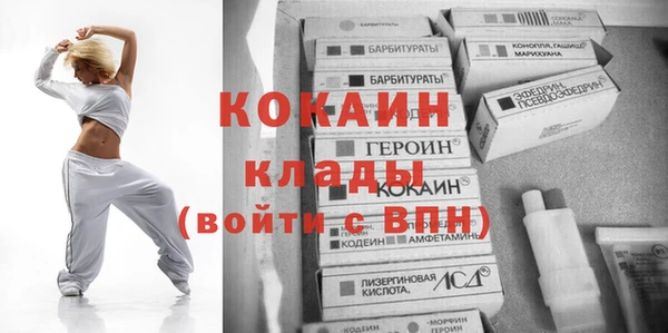 прущие грибы Балахна